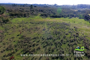 90G 2 TOP.00_02_07_18.Quadro020_02762153487731b0ed24d3ebf2e32c70ccd8f9ee.jpg